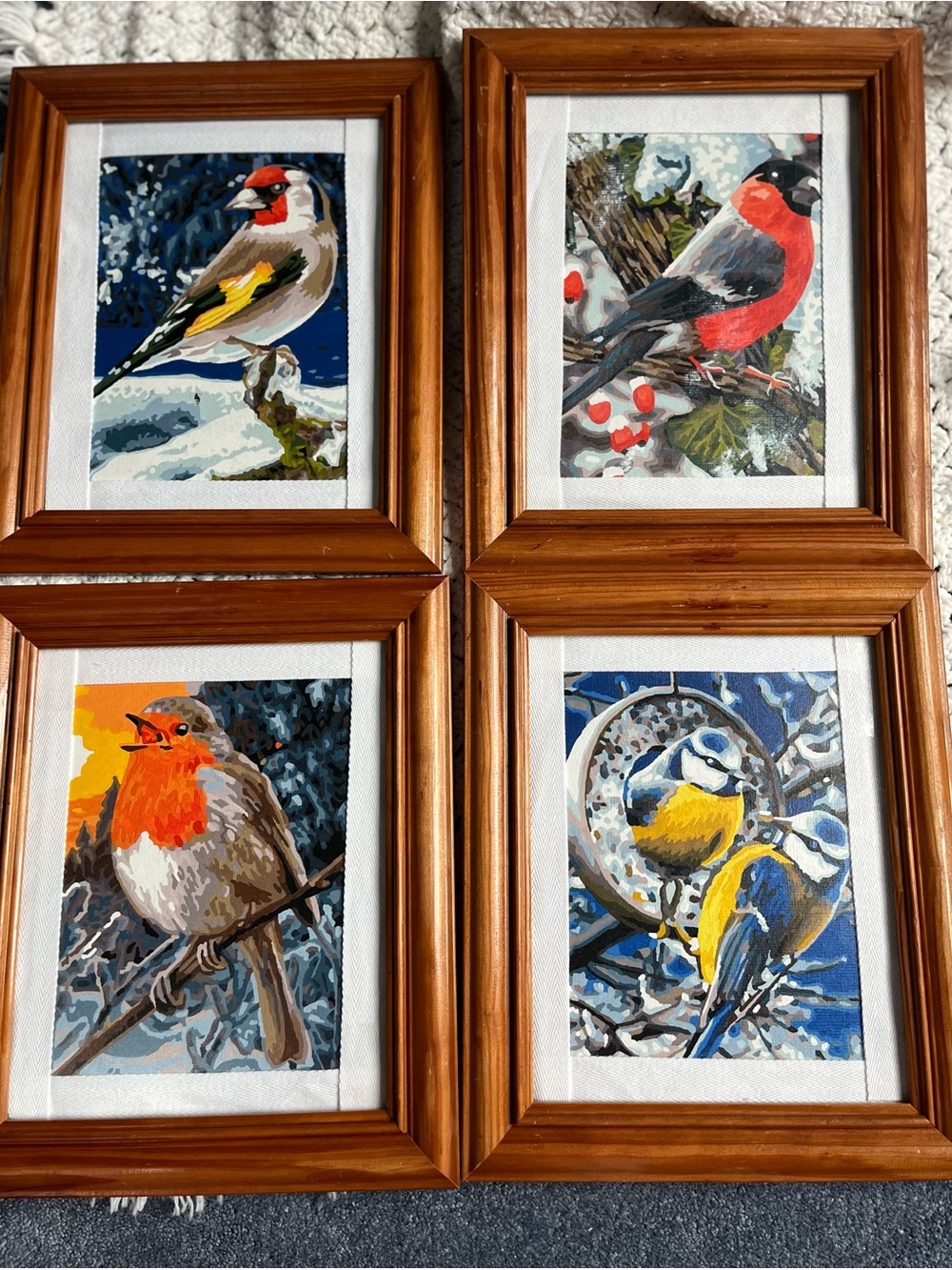 Set of 4 Original Paint-By-Number Bird series in wood frames with glass